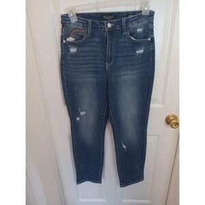 Judy‎ Blue Denim Jeans Sz 9/29 Rainbow JB88438 Distressed High Rise Straight Fit